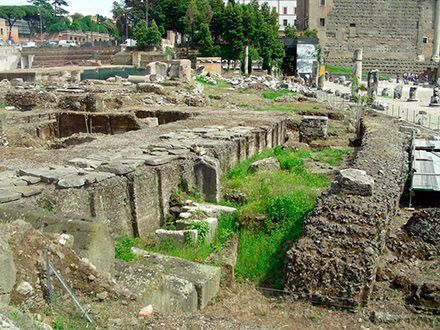 Ancient allure of the Roman Forum.